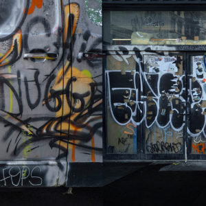 photographie d'art stardust