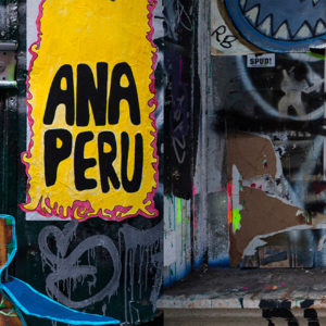 Photographie d'art new york marmouset