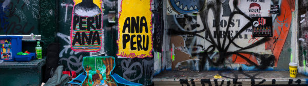 Photographie d'art new york marmouset