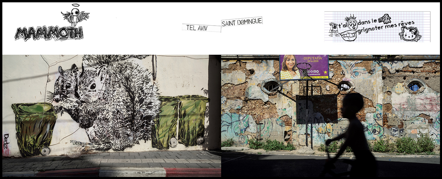 photographie d'art
