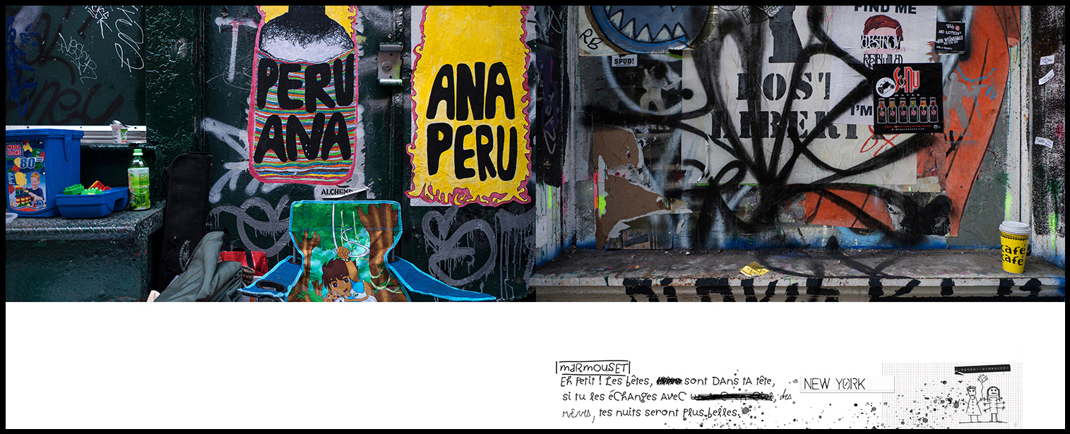 photographie d'art
