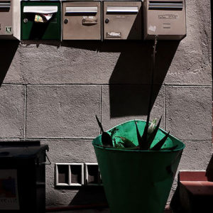 photographie d'art