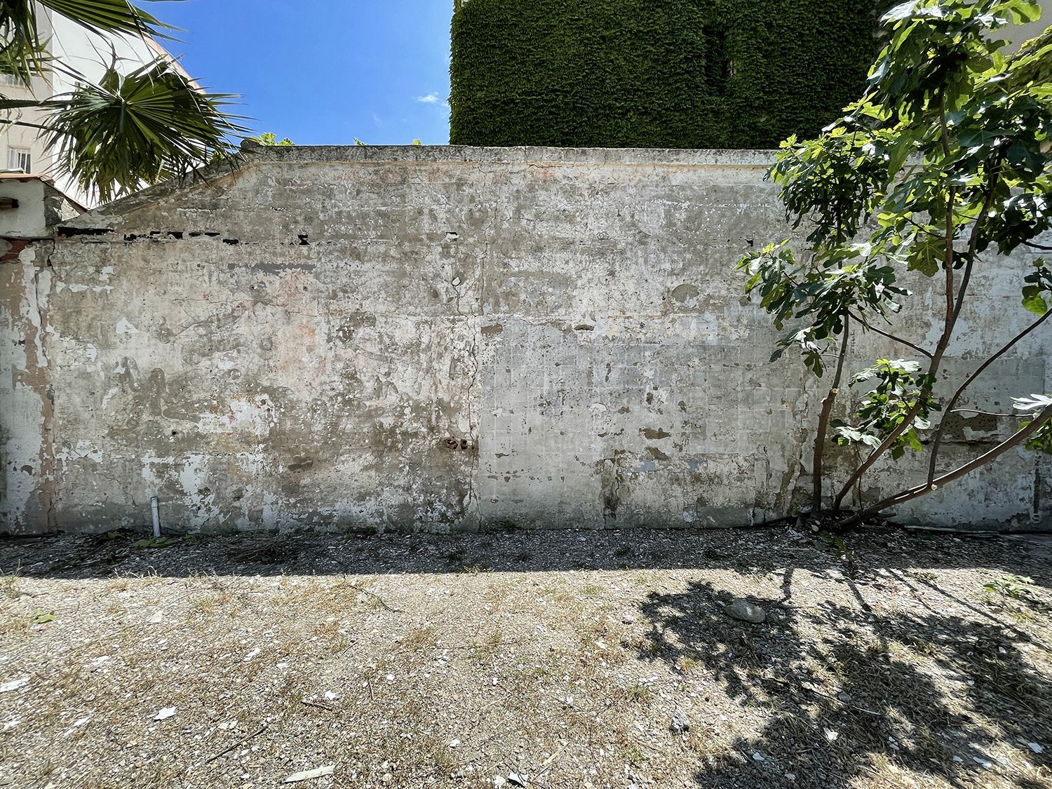 cavalaire-2
